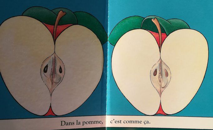 Dans la pomme/Dans le gant