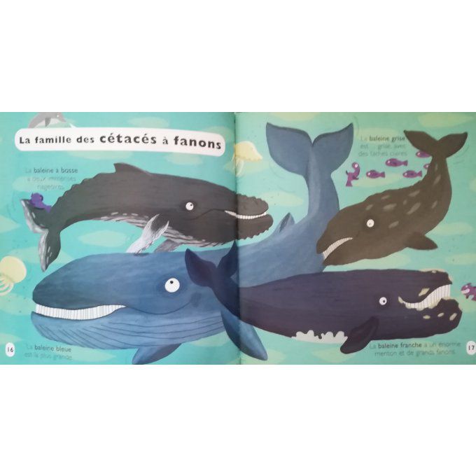 Dauphins et baleines, mes petites encyclopédies Larousse