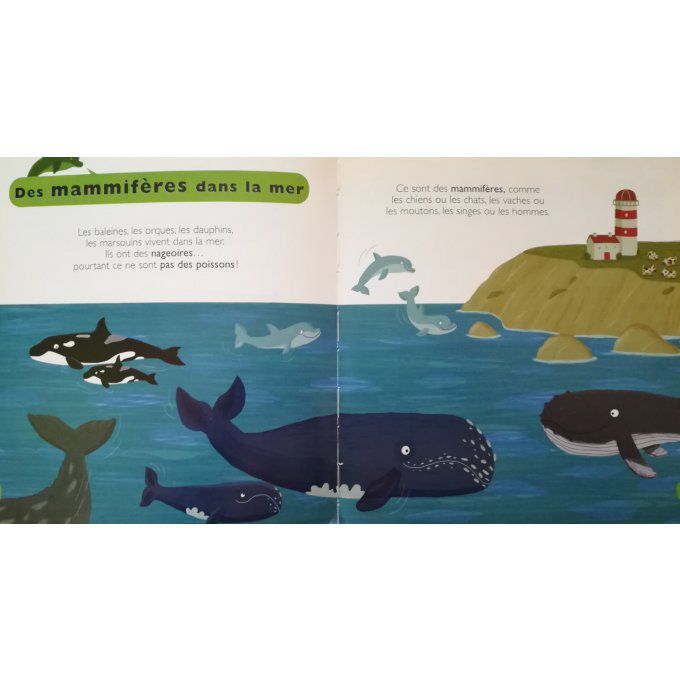 Dauphins et baleines, mes petites encyclopédies Larousse