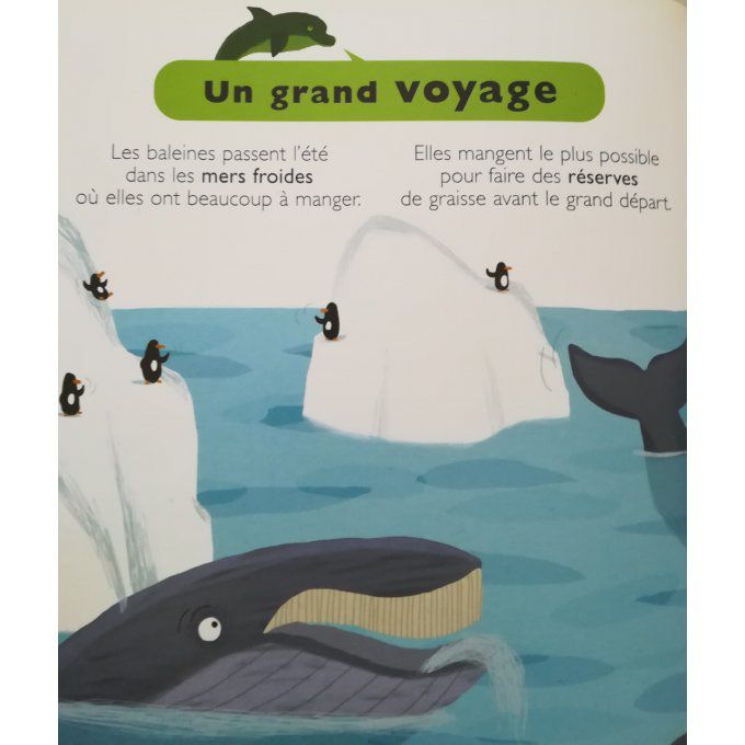 Dauphins et baleines, mes petites encyclopédies Larousse