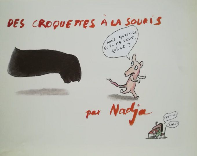 Des croquettes à la souris