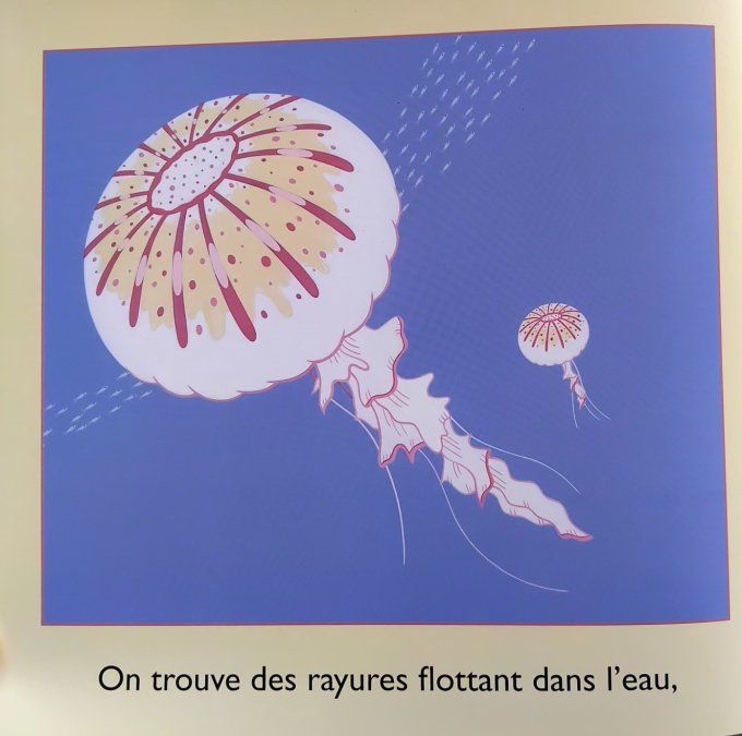 Des rayures dans la nature