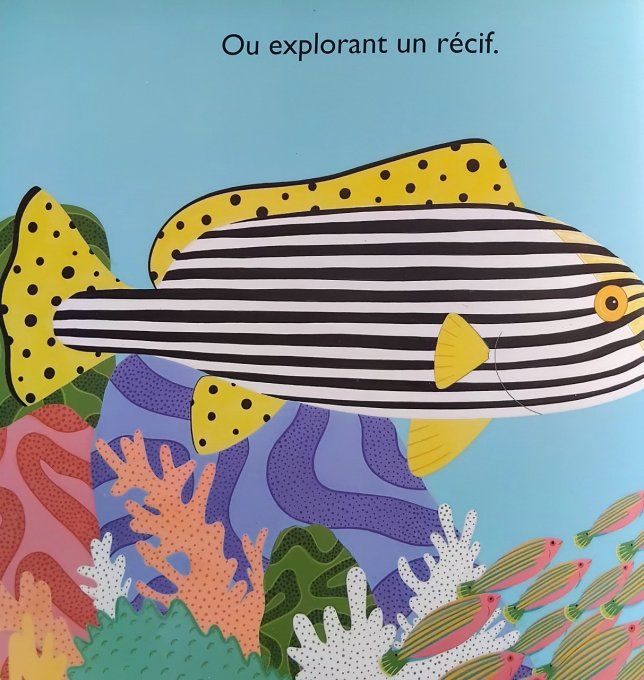 Des rayures dans la nature