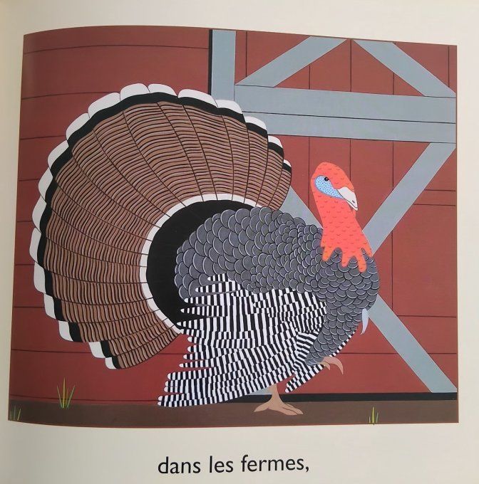 Des rayures dans la nature