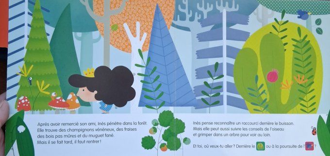 Deviens le héros avec Inès la princesse