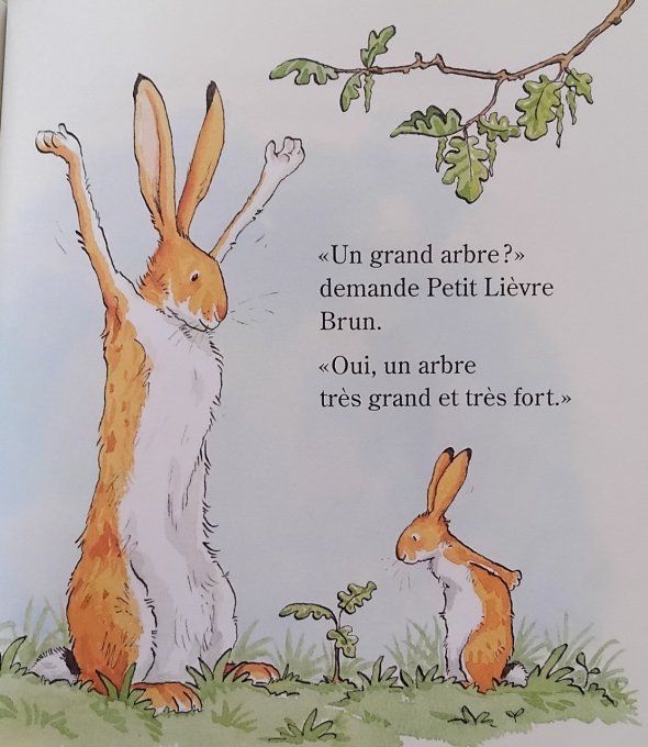 Devine combien je t'aime au printemps