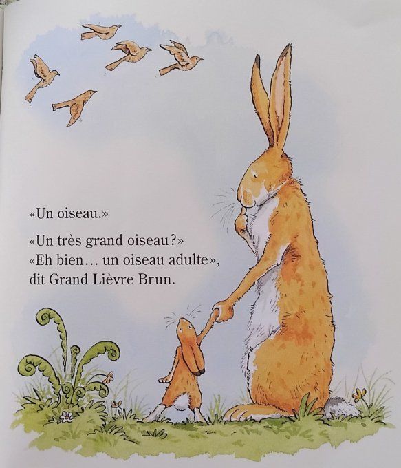 Devine combien je t'aime au printemps