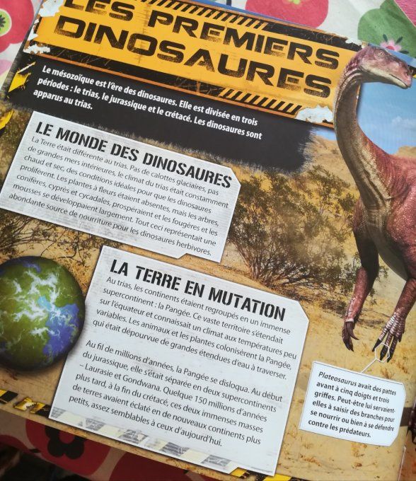 Dinosaure 3D