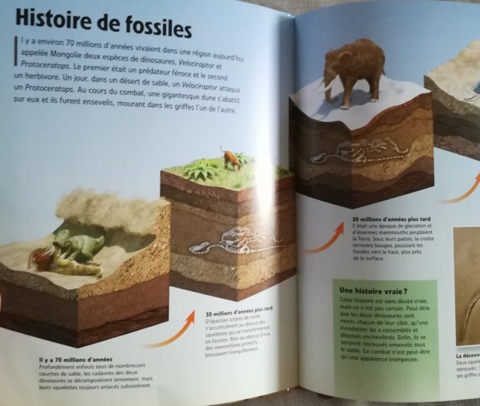 Dinosaures, discovery éducation