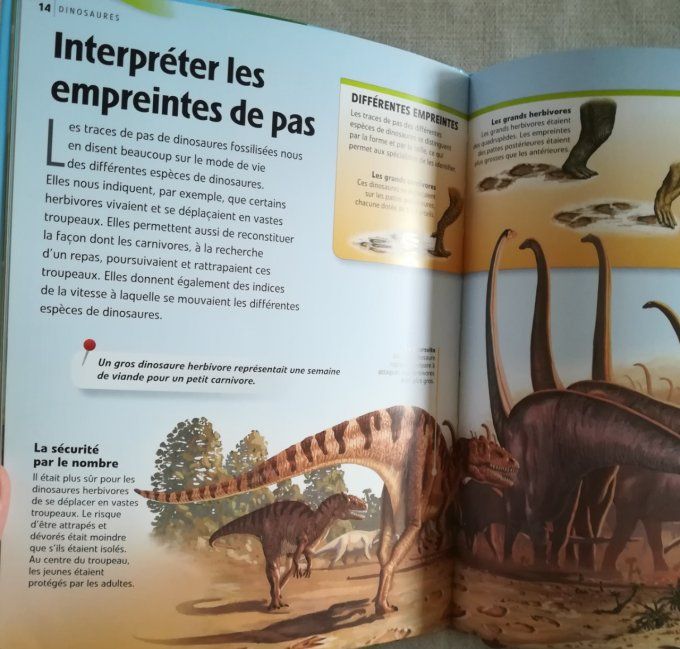 Dinosaures, discovery éducation