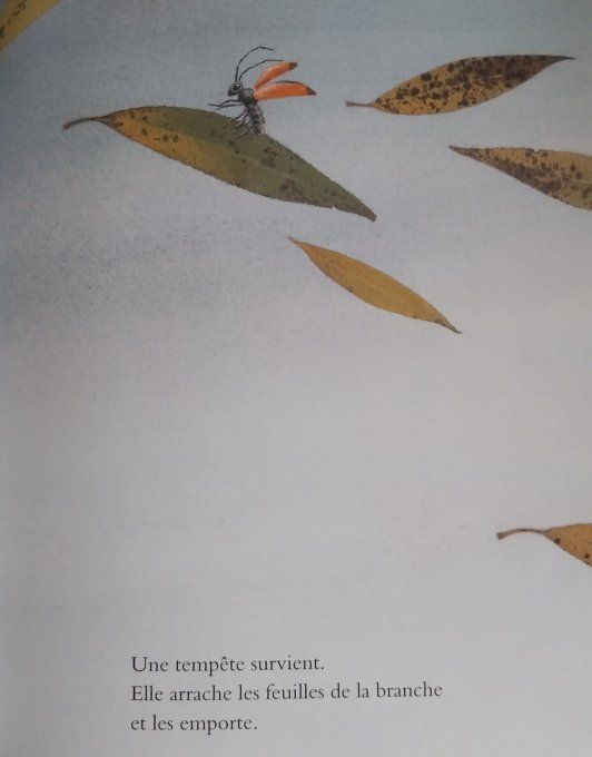 Dix feuilles volantes