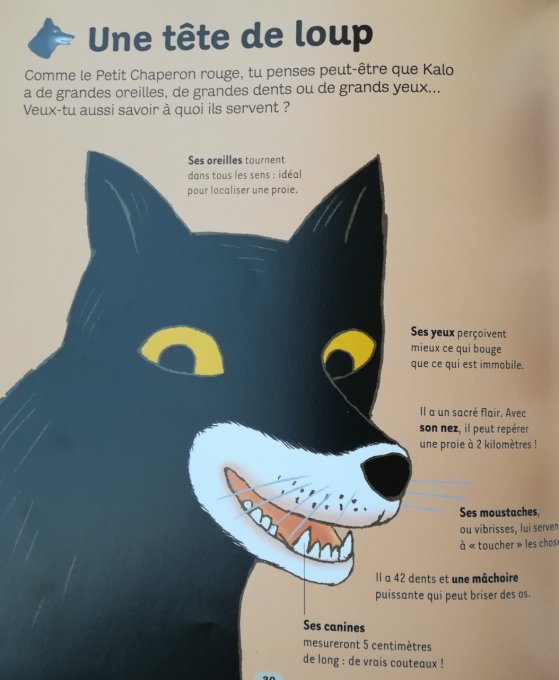 Dokéo, le loup