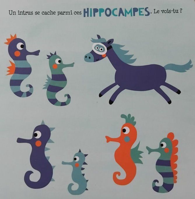 Drôle de mer, observe et joue