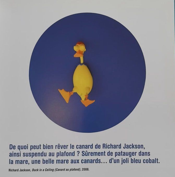Drôles d'art nimaux