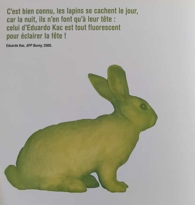 Drôles d'art nimaux