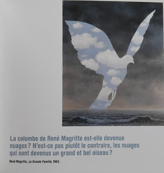 Drôles d'art nimaux