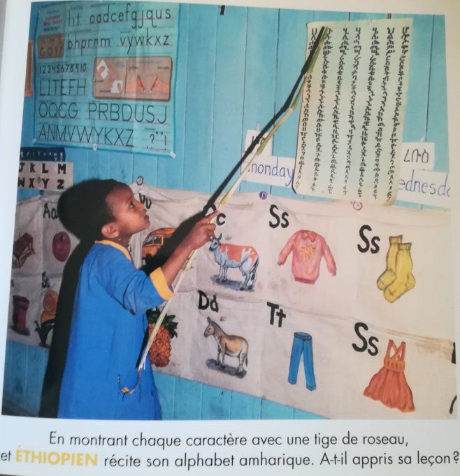 Ecoles du monde