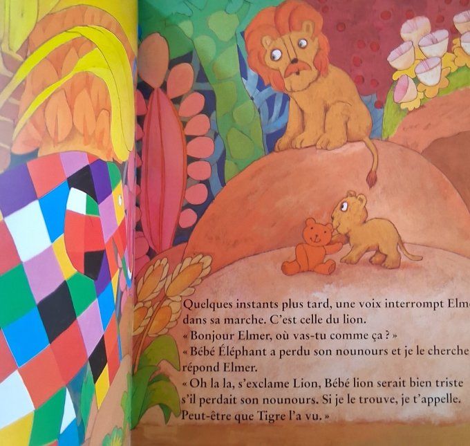 Elmer et le nounours perdu
