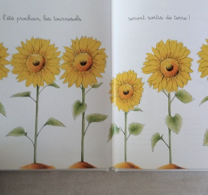 Emy et les tournesols