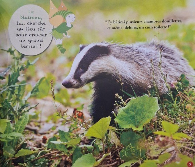 En forêt avec la fée Danaé !