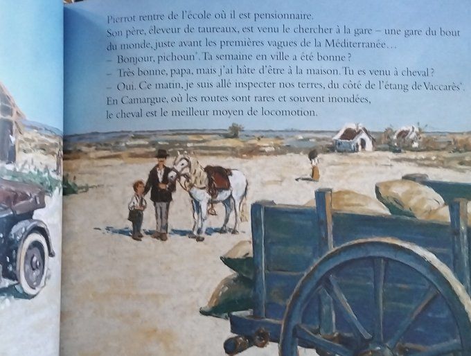 Engane Taureau de Camargue
