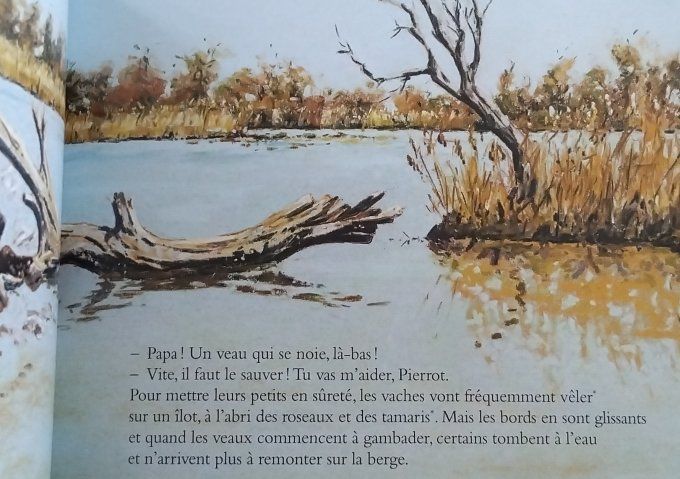 Engane Taureau de Camargue
