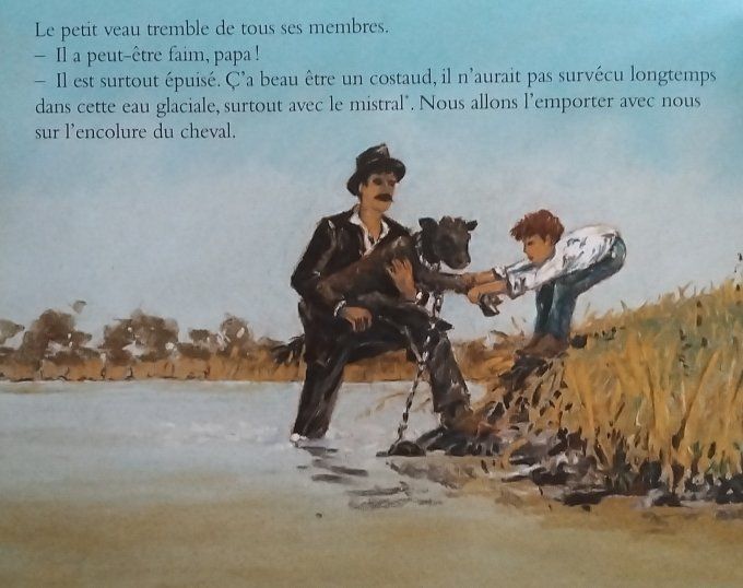 Engane Taureau de Camargue