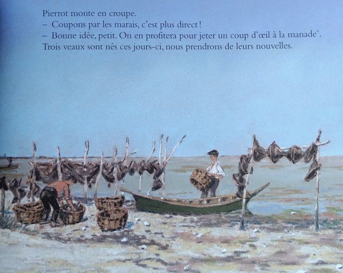 Engane le taureau de Camargue