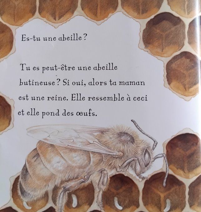 Es-tu une abeille ?