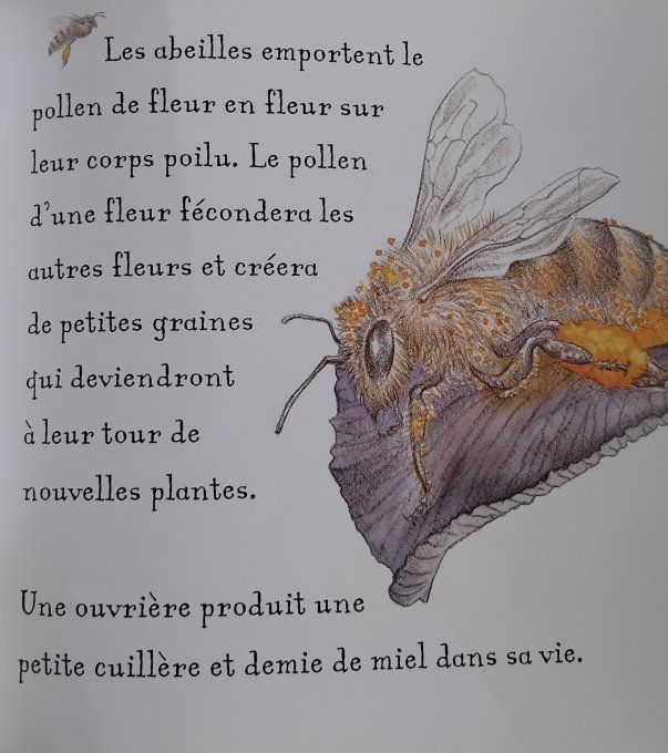Es-tu une abeille ?