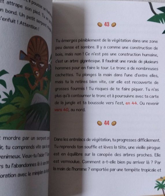 Escape Book l'île aux mystères