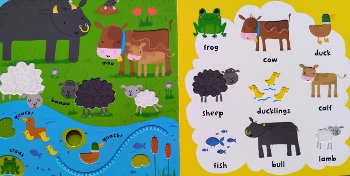 Baby's very first play book words