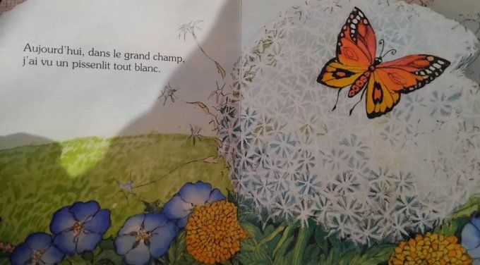 Fleur des champs que deviendras-tu ?