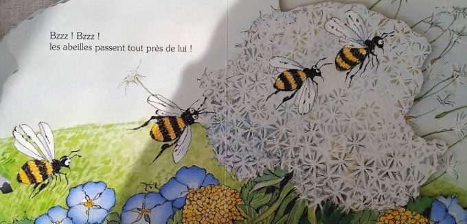 Fleur des champs que deviendras-tu ?