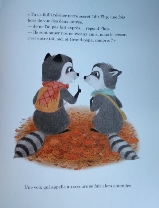Flip et Flap cherchent un trésor