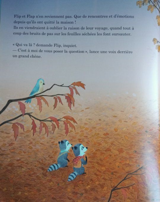 Flip et Flap cherchent un trésor
