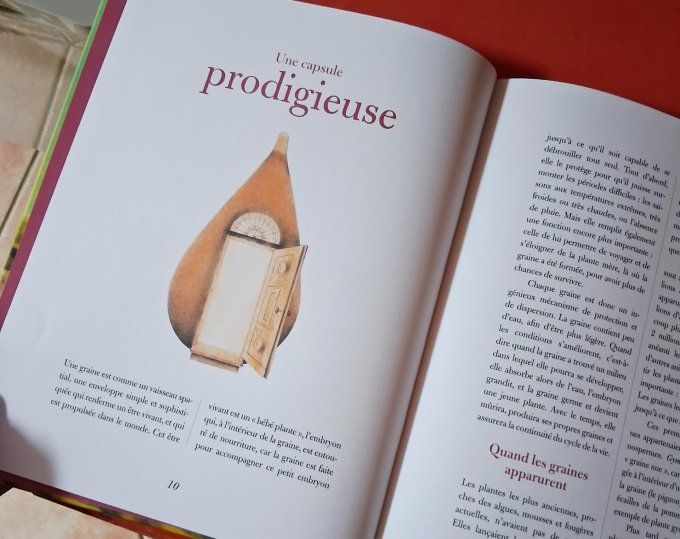 Graines, un petit grand voyage