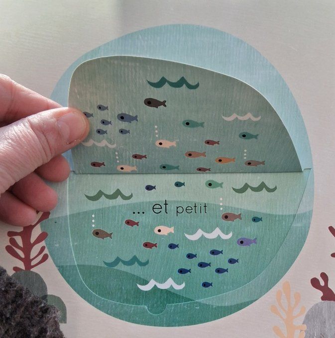 Le livre des contraires des animaux Grand et Petit