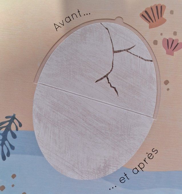 Le livre des contraires des animaux Grand et Petit