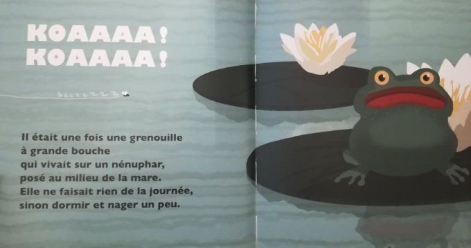 Grande Bouche