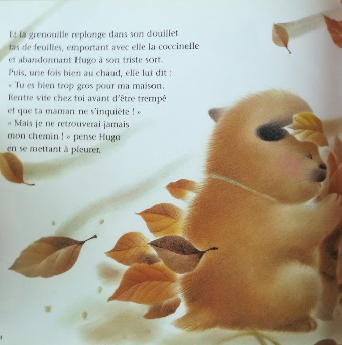 Hugo dans le vent