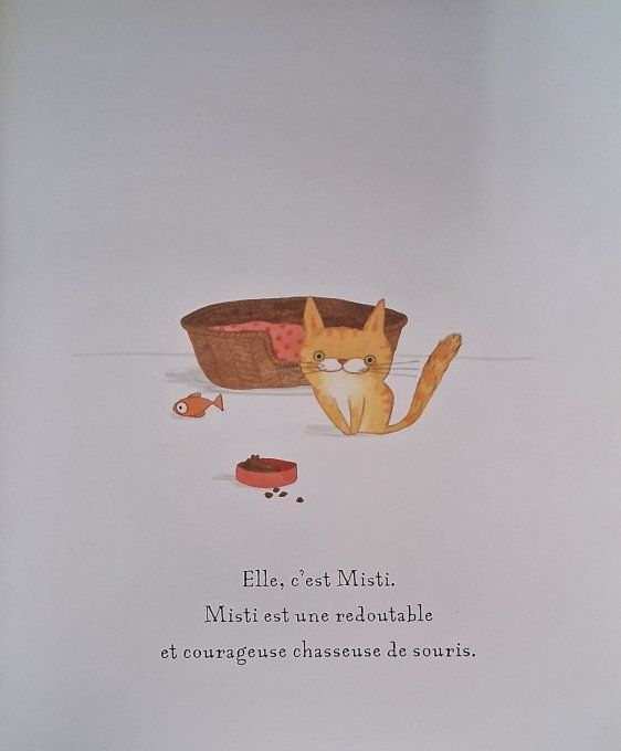 Il n'y a pas de souris par ici !