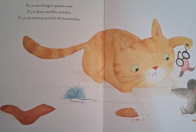 Il n'y a pas de souris par ici !