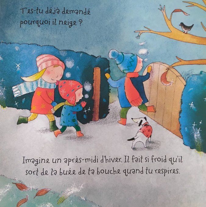 Il neige