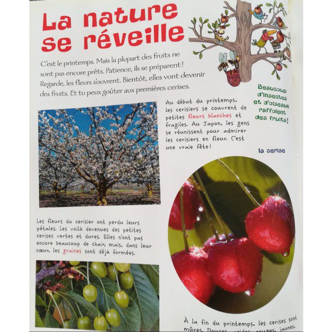 Fruits et légumes