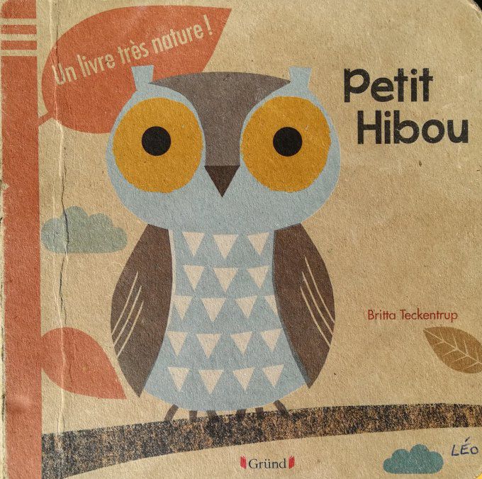 Petit hibou