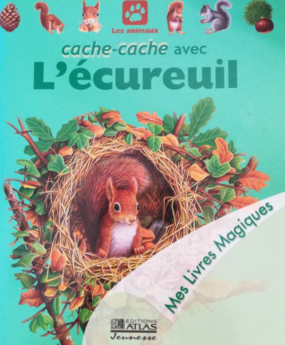 Cache-cache avec l'écureuil