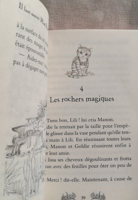 Les amis de la forêt enchantée tome 6 Emilie Pique-Piquant a une idée géniale