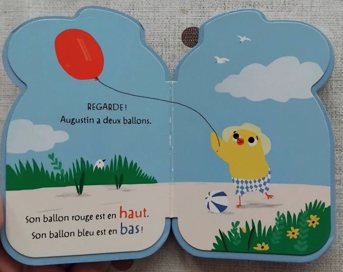 Augustin et les contraires