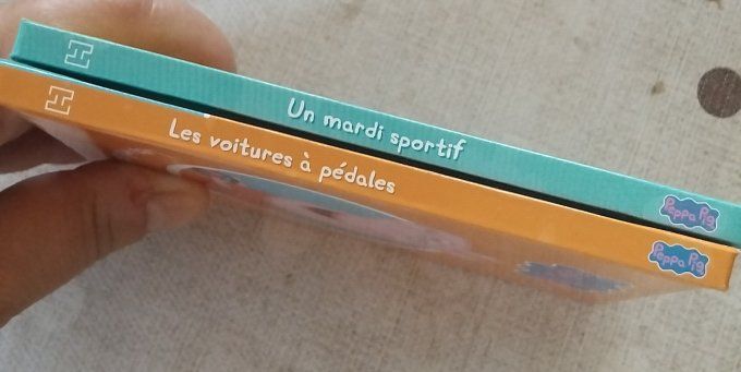 Lot de 2 petits livres Peppa Pig
